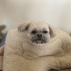 Meet your Posher, Jenny